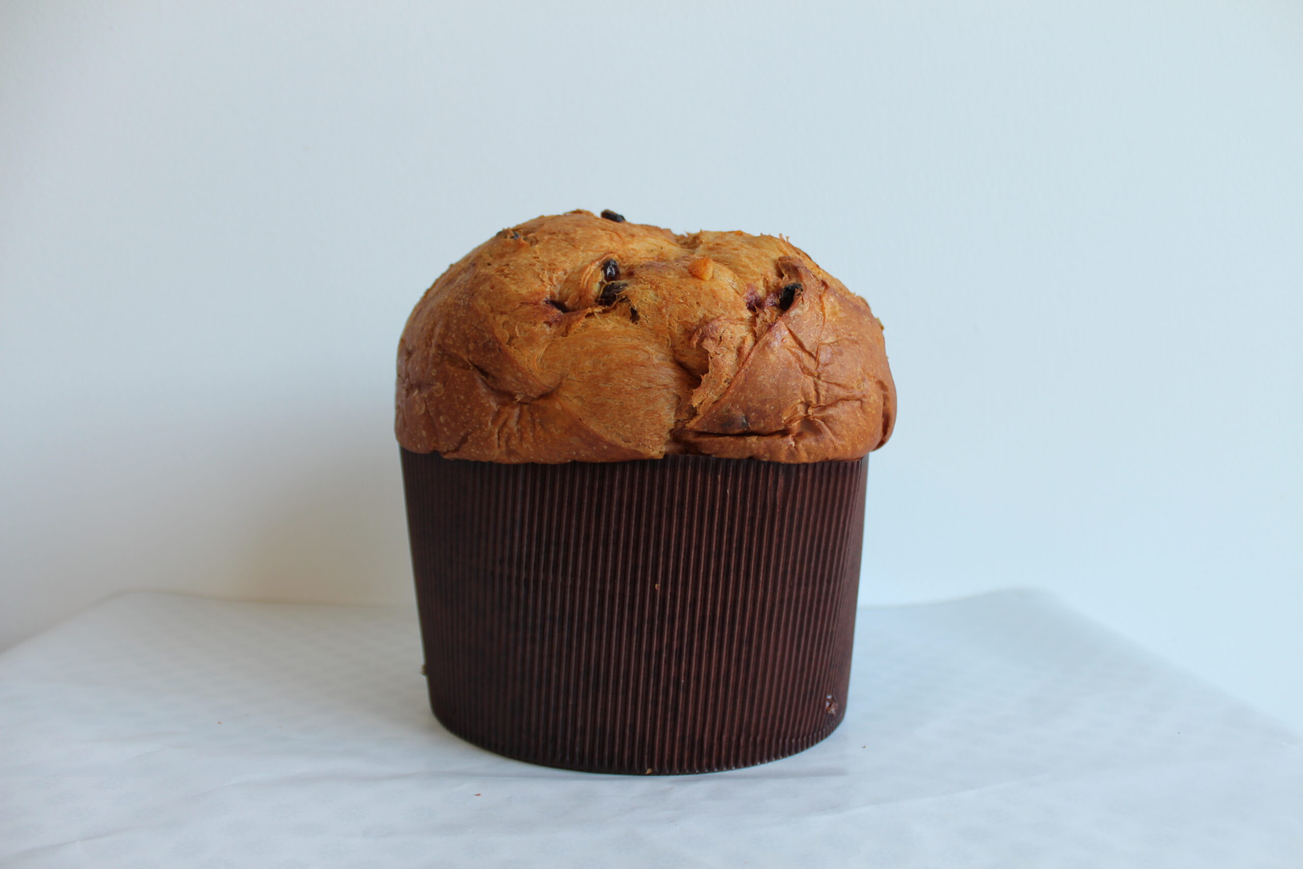 Panettone Camaiola