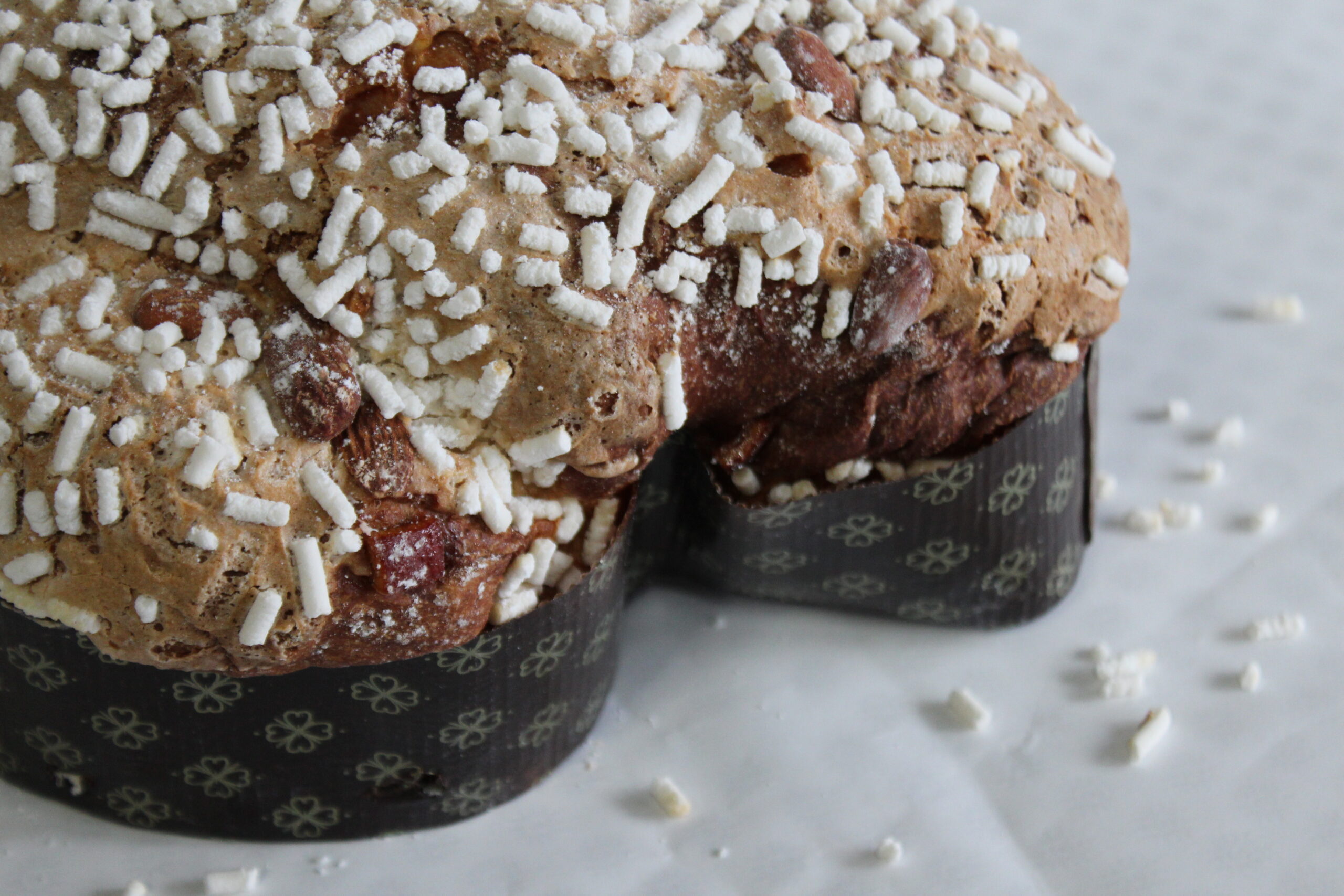 Colomba classica
